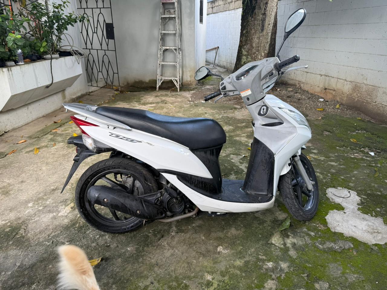 motores y pasolas - tiene todo placa papeles todo  3