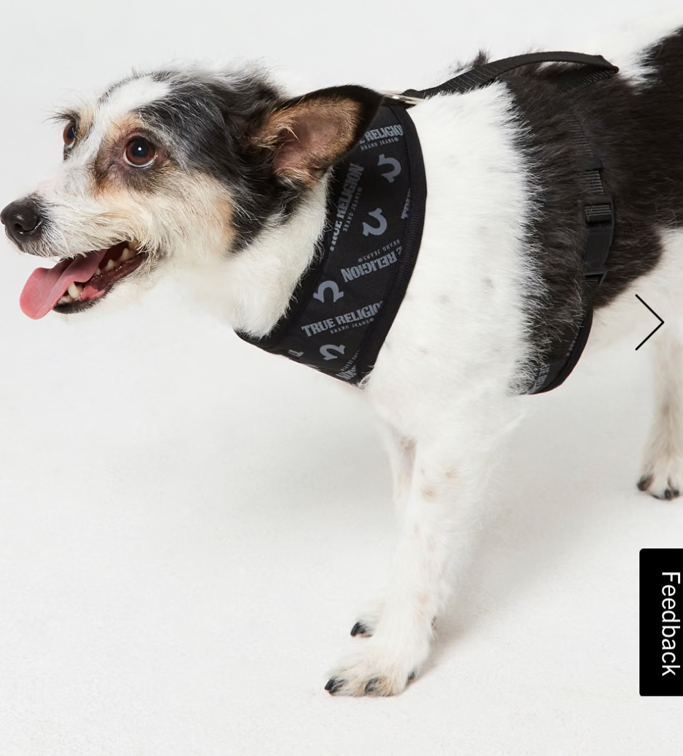 animales y mascotas - Arnes para perros marca True Religion  0