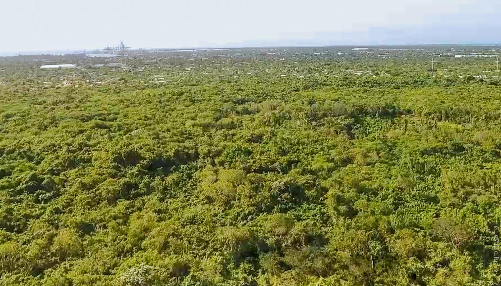 solares y terrenos - VENTA TERRENO EN BOCA CHICA REPÚBLICA DOMINICANA 3