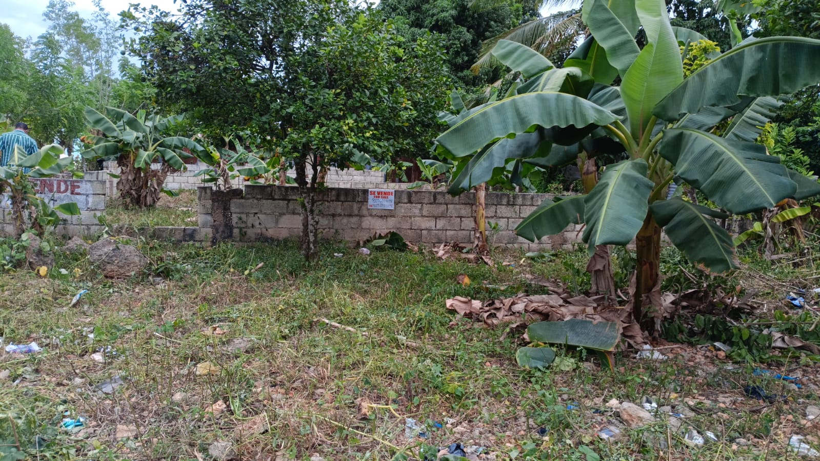 solares y terrenos - .  🏡 ¡De Oportunidad! Venta de Solar La Ro 2