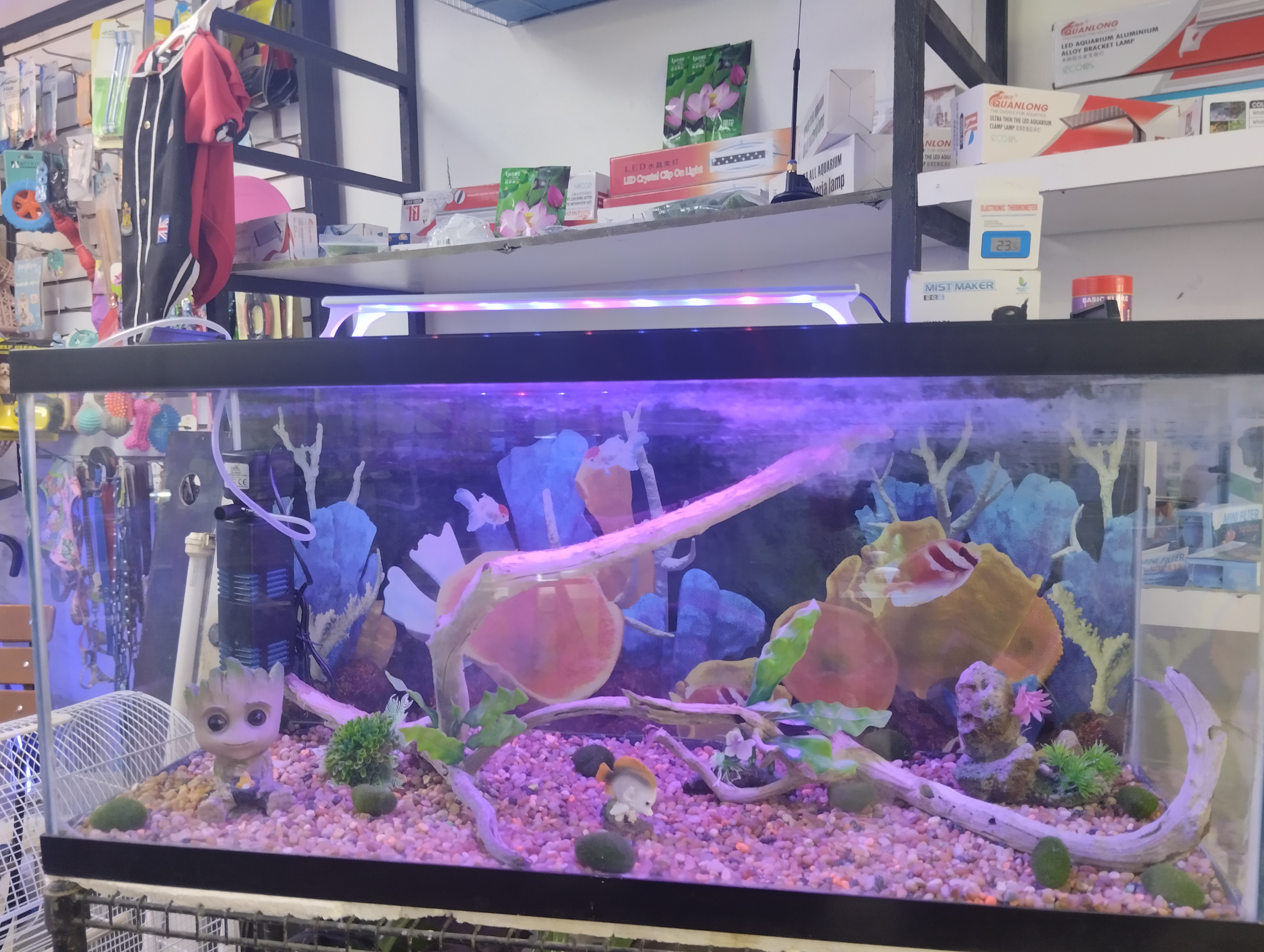 animales y mascotas - Pecera 30gl 1