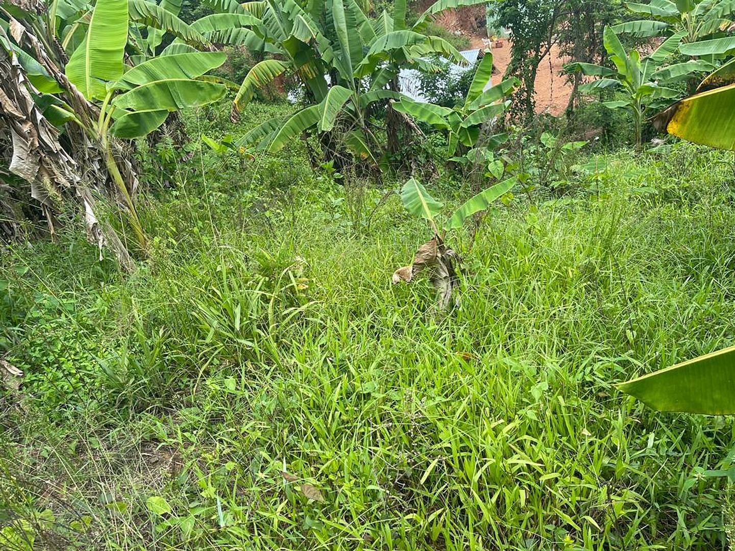solares y terrenos - Venta de Terreno en Las Terrenas  3