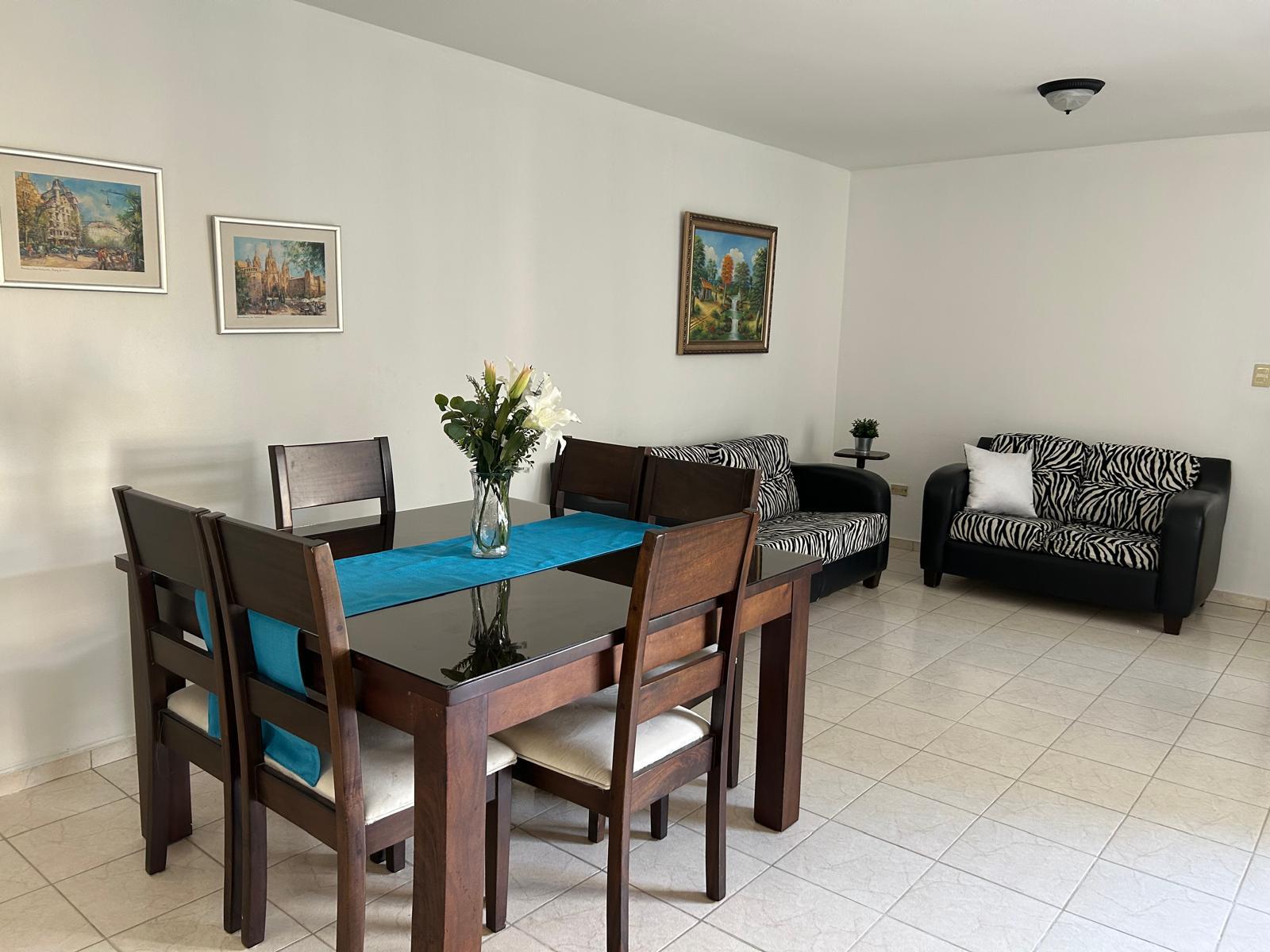 apartamentos - Alquiler Apto Amueblado Santiago 6