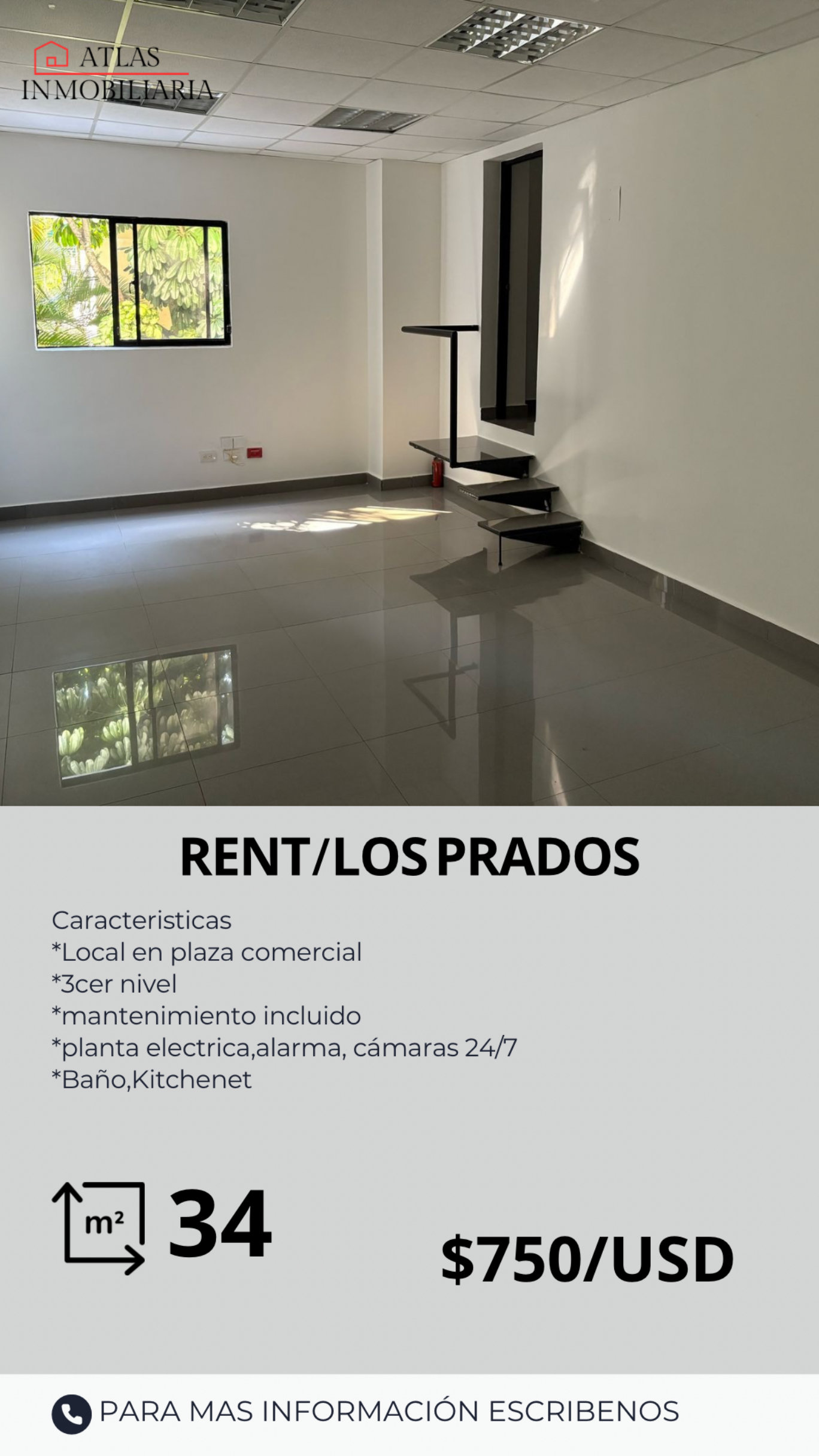 oficinas y locales comerciales - LOCAL COMERCIAL 