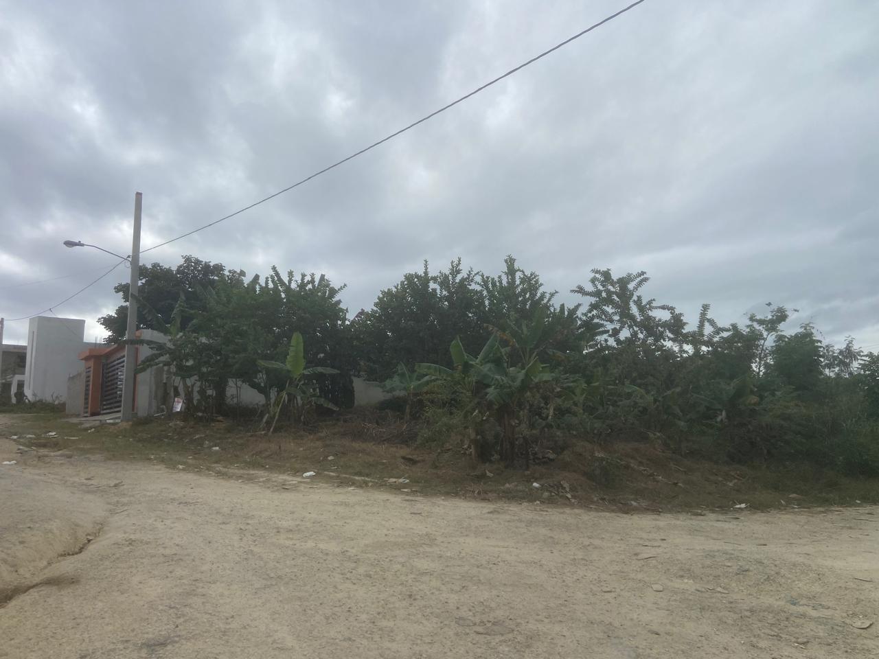 solares y terrenos - VENTA DE TERRENO EN PANTOJA 6