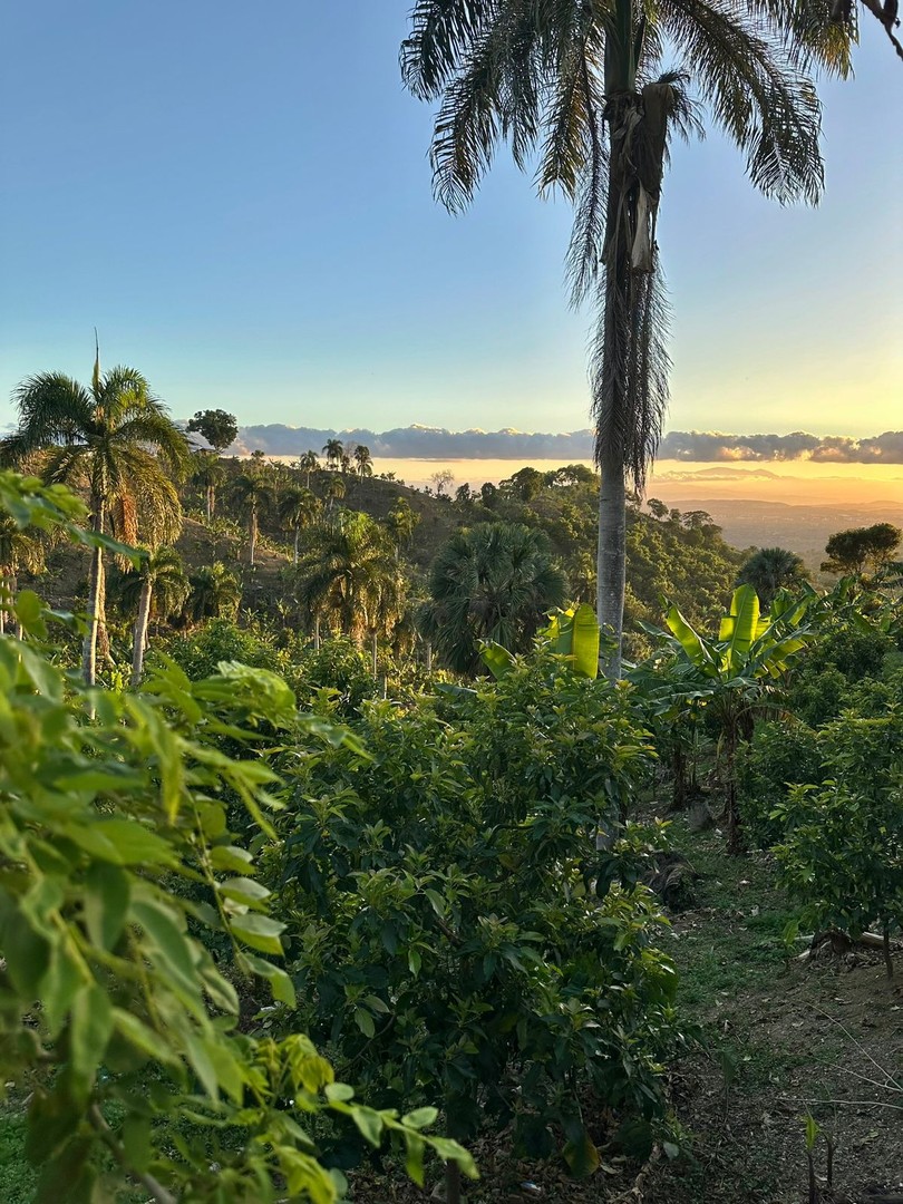 solares y terrenos - Finca de 7 Tareas con Caseta y Piscina en Las Montañas  1