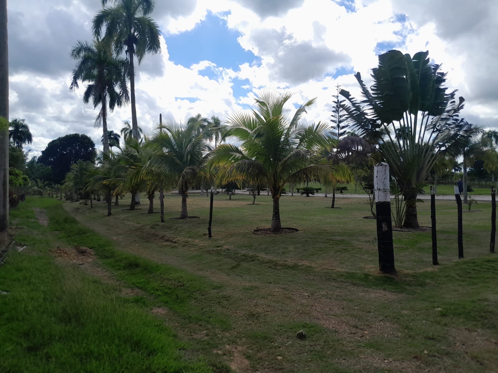 solares y terrenos - venta de finca de 15,193mts en Higuey República Dominicana  0