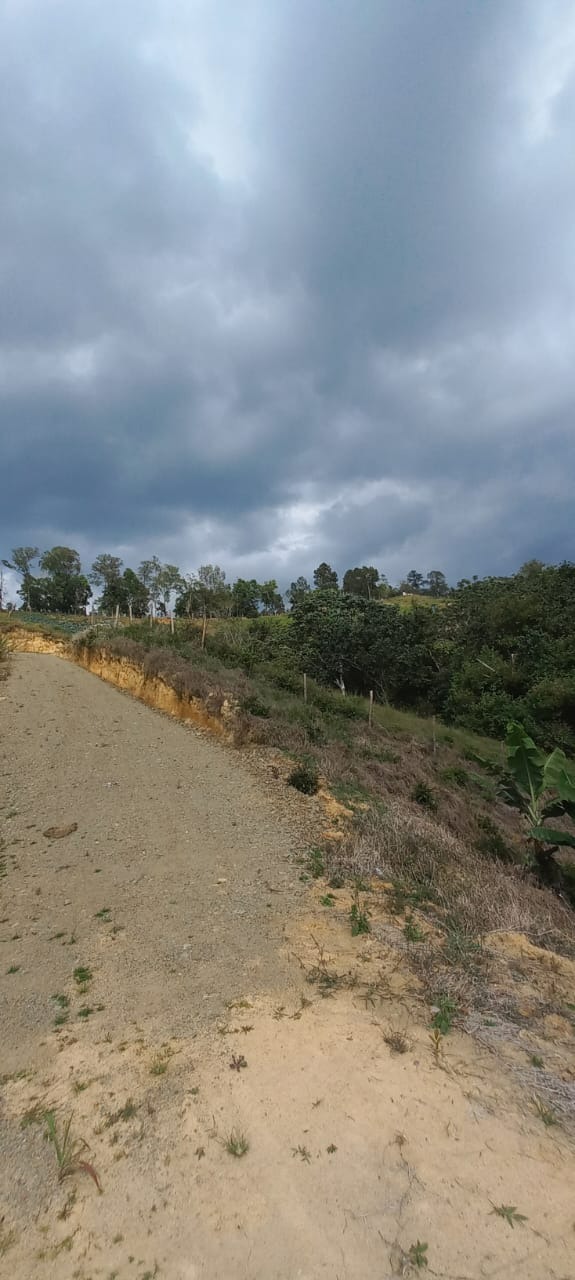 solares y terrenos - Solares Ideales para Villlas en Jarabacoa  0