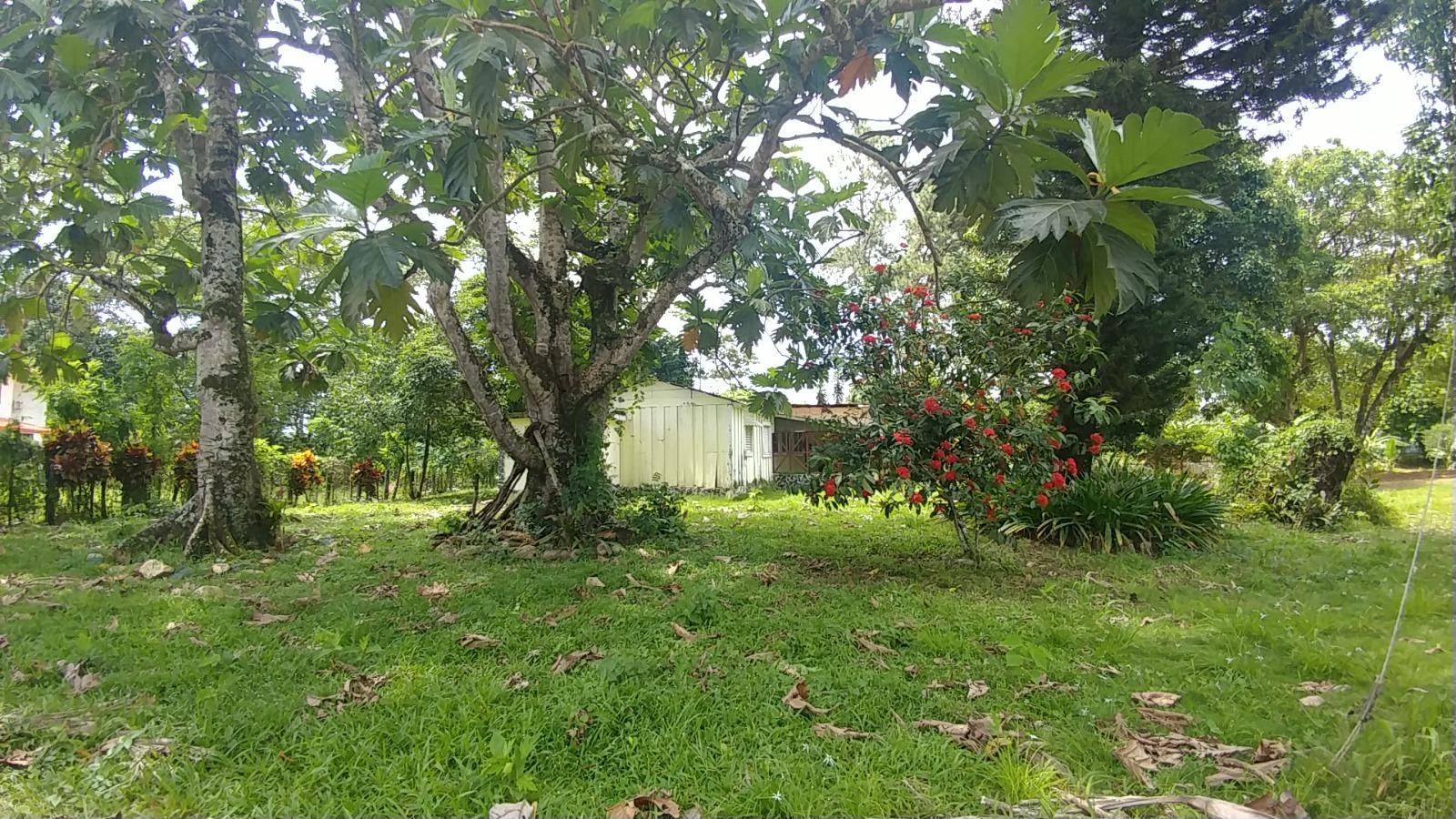 solares y terrenos - VENTA SOLAR DE 1,087M2 – PIEDRA BLANCA BONAO