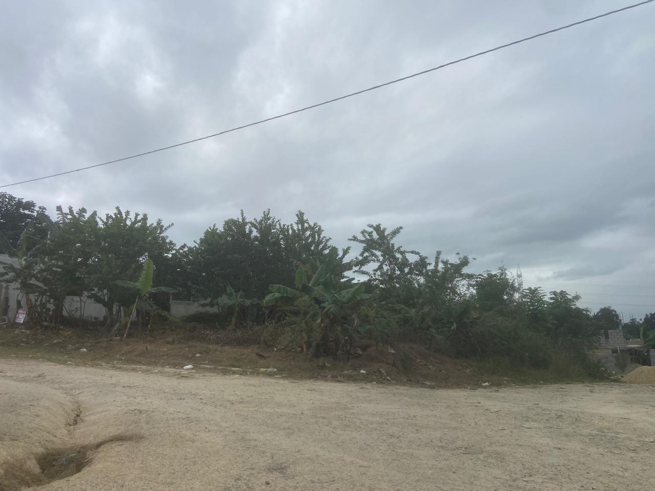 solares y terrenos - VENTA DE TERRENO EN PANTOJA 7