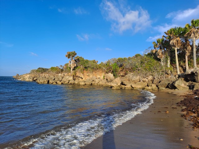 solares y terrenos - Excelente terreno con un kilómetro de playa ideal para proyecto  5