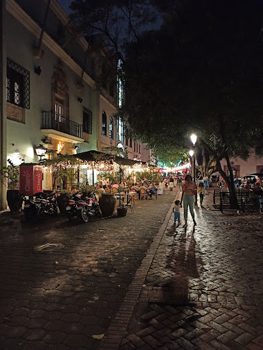 otros inmuebles - Edificio Zona Colonial retorno anual 114mil dolare 8