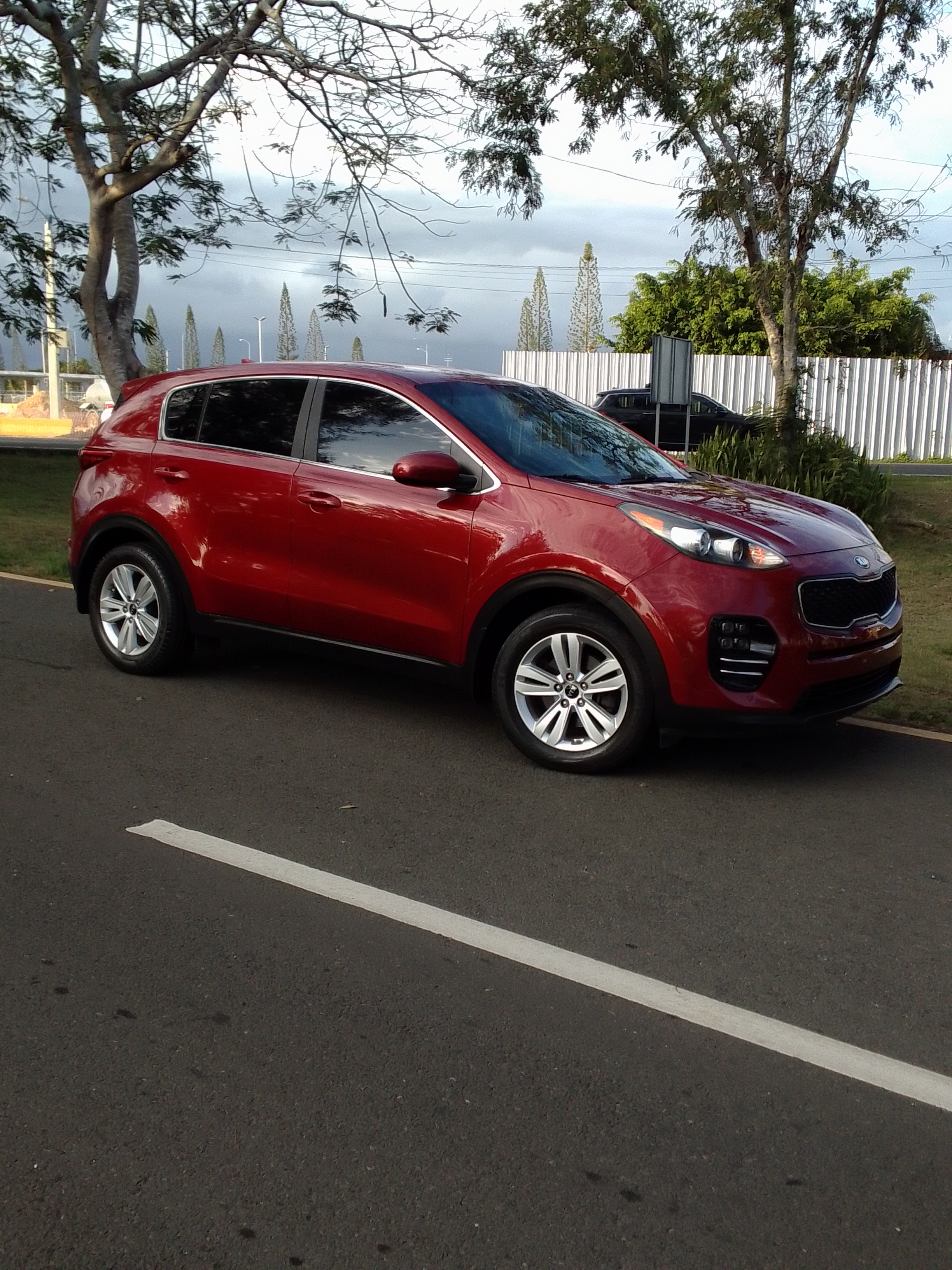 jeepetas y camionetas - Kia Sportage clean carfax 2019 3
