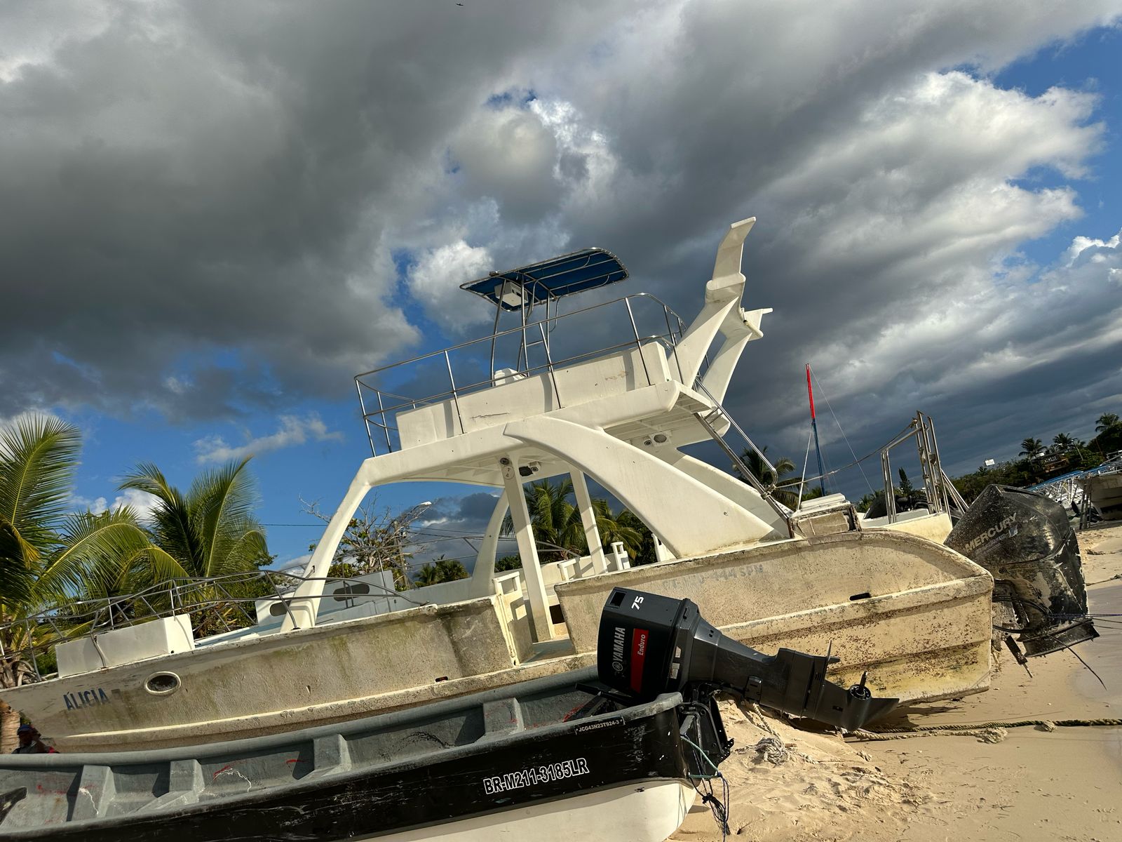 botes - Catamran para Restaurar 7