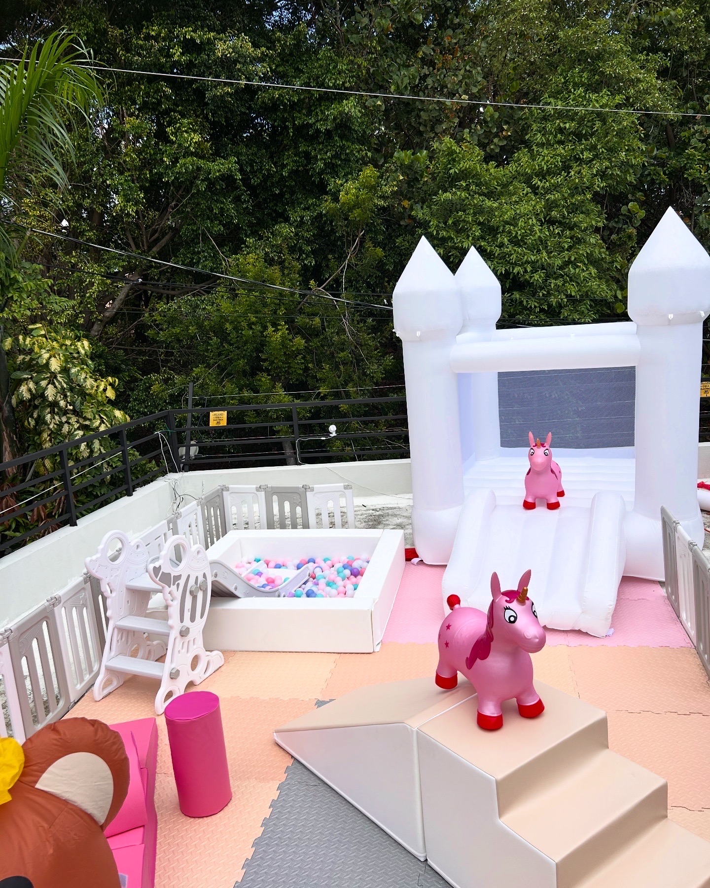servicios profesionales - inflable, juegos y diversión para cumpleaños  1