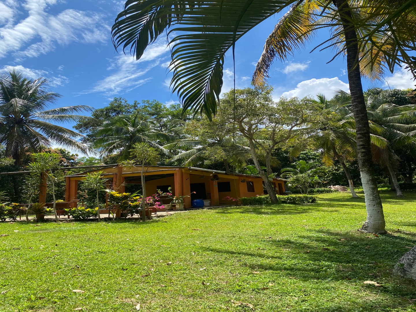 casas vacacionales y villas - Majestuosa finca de 60 tareas de tierra 1600 plantas de aguacate 500 de mango y  1