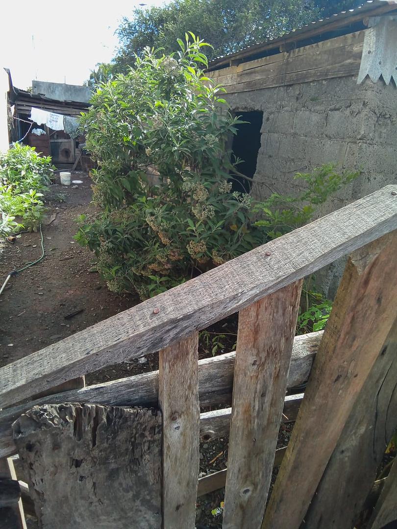 solares y terrenos - Terrero con Mejora  en la Colonia, Cotui 2