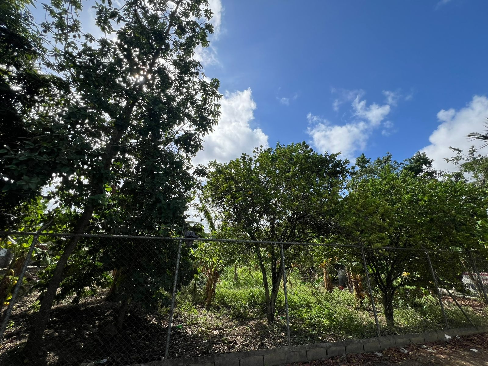 solares y terrenos - Terreno de Venta en Ave. Hispanoamericana  2