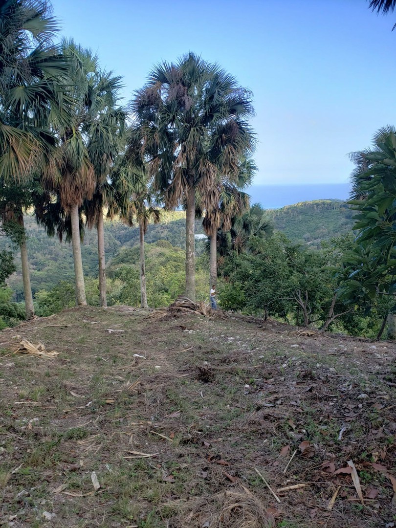 solares y terrenos - Finca de Aguacates en Venta en Paraíso, Barahona 7