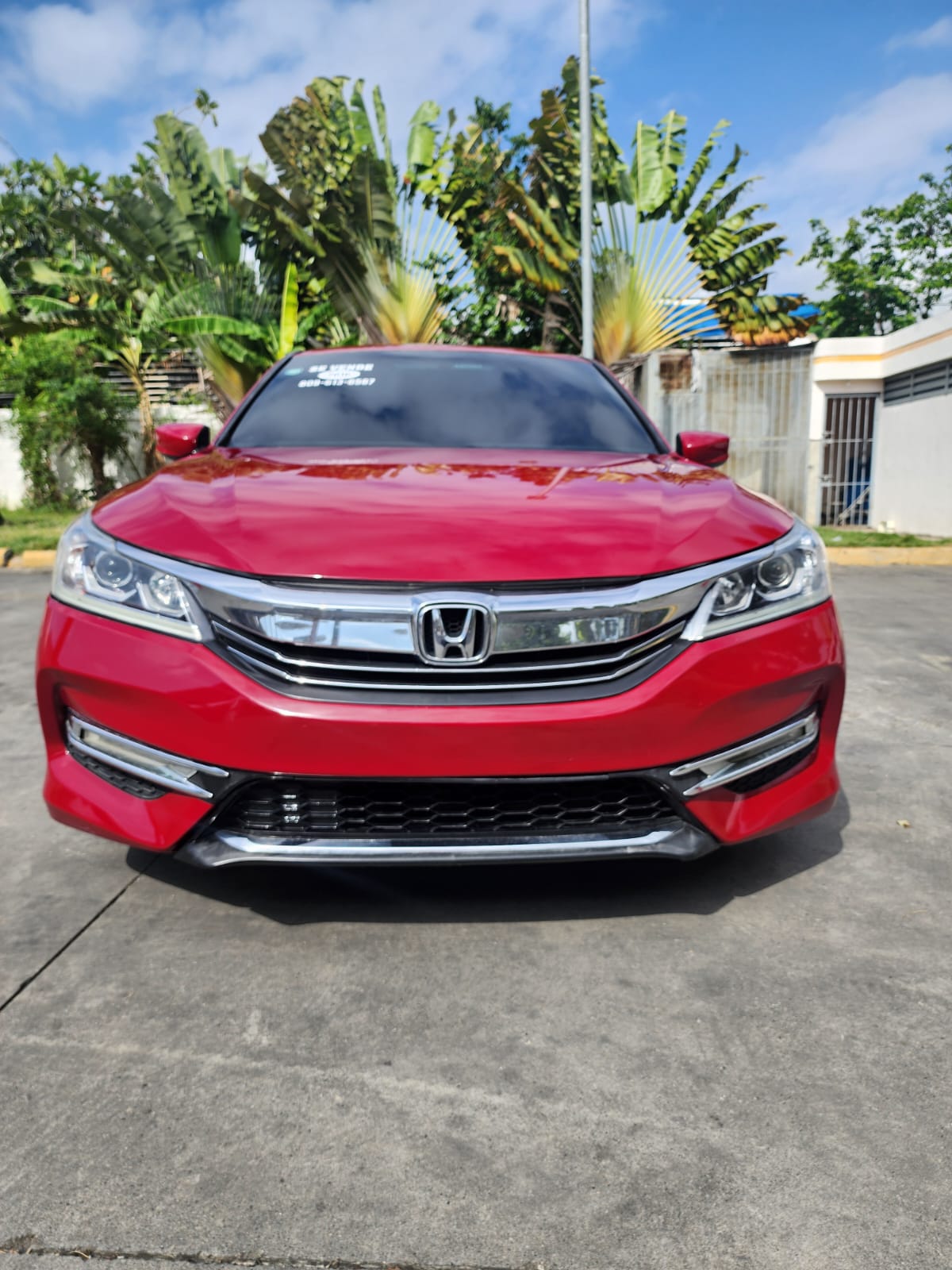 carros - HERMOSO HONDA ACCCORD SPORT 2016 0