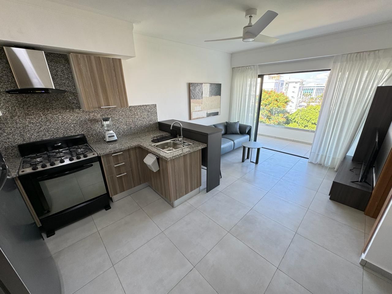 apartamentos - Apartamento completamente amueblado cercano a Apec y Unibe 3