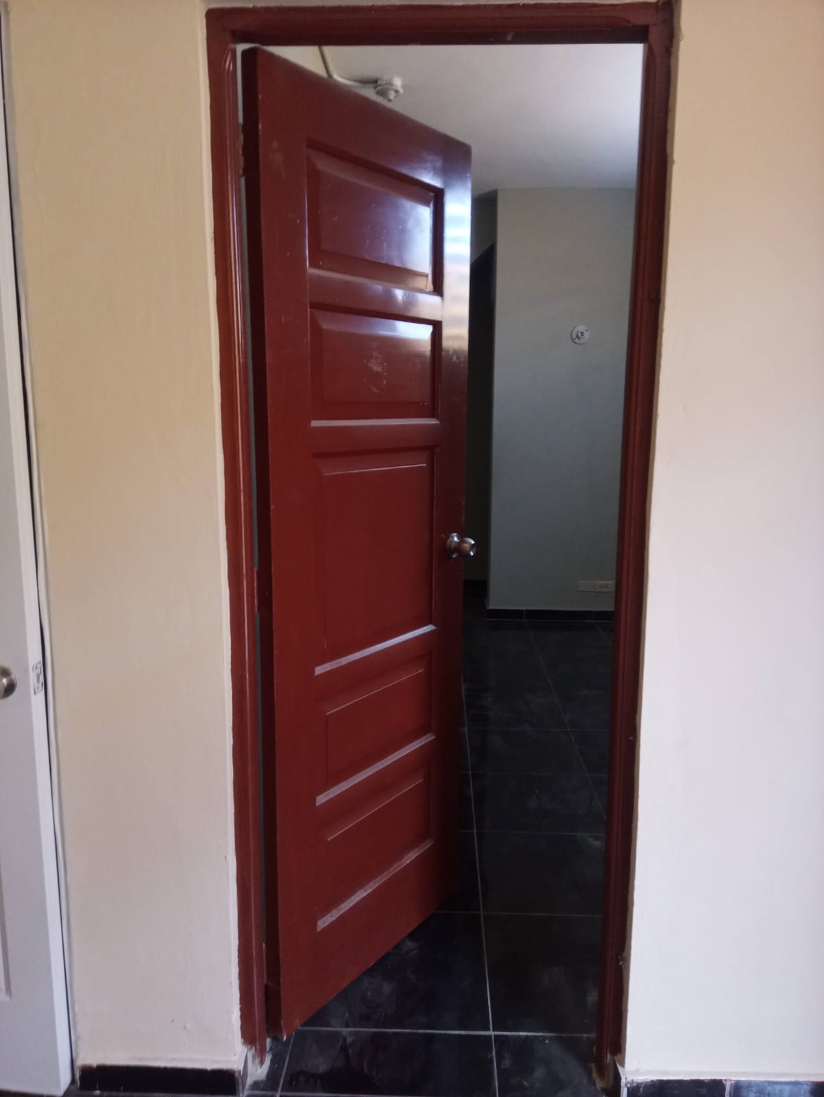 apartamentos - Apartemento en Alquiler 5
