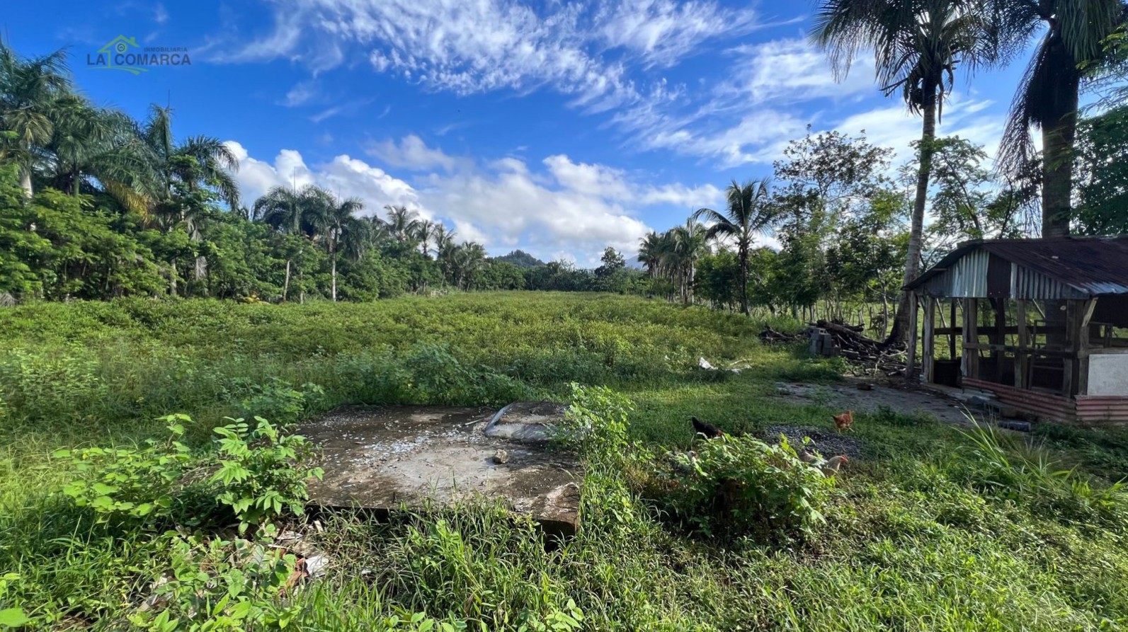 solares y terrenos - Gran Terreno De venta En Villa Altagracia
VENTA 5