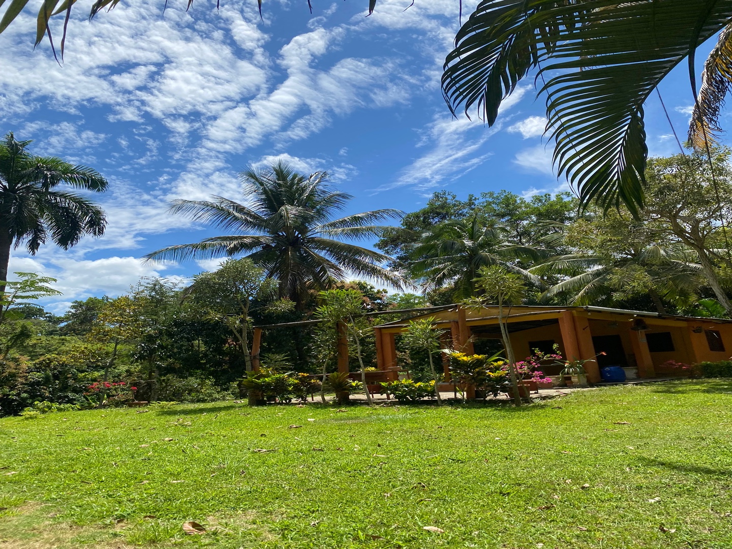 casas vacacionales y villas - Majestuosa finca de 60 tareas de tierra 1600 plantas de aguacate 500 de mango y  0
