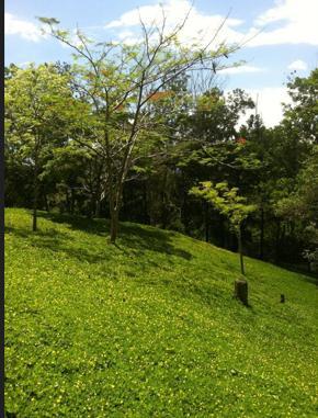 solares y terrenos - Solares en venta en Jarabacoa 6