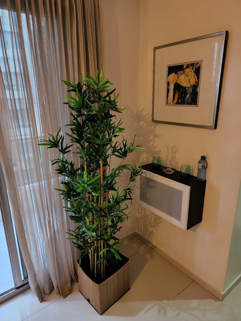 apartamentos - ALQUILER DE APARTAMENTO AMUEBLADO EN PIANTINI  3
