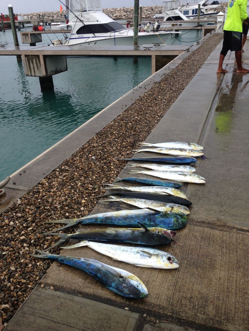botes - Bote Lancha Pesca, iPhone 7