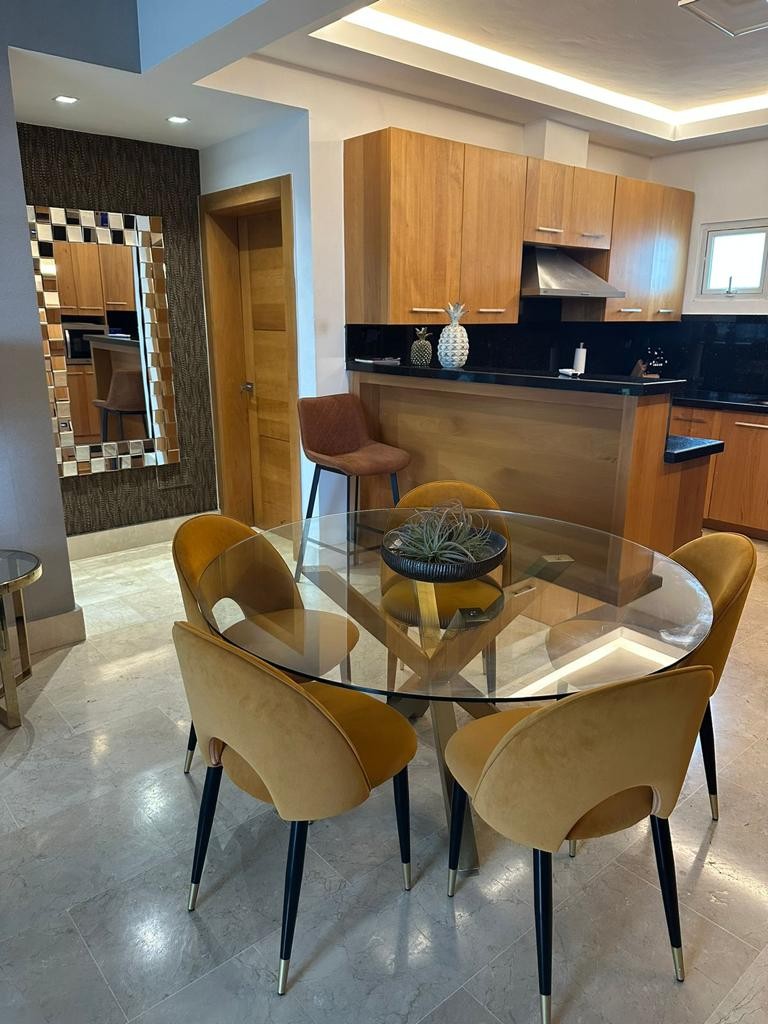 apartamentos - Apartamento Amueblado de Lujo en Alquiler, 8vo Piso  1