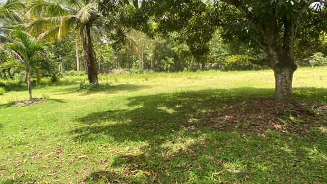 solares y terrenos - finca 24 tareas de tierra  5