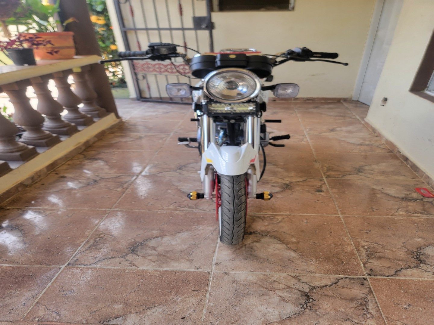 motores y pasolas - Gato 250 0