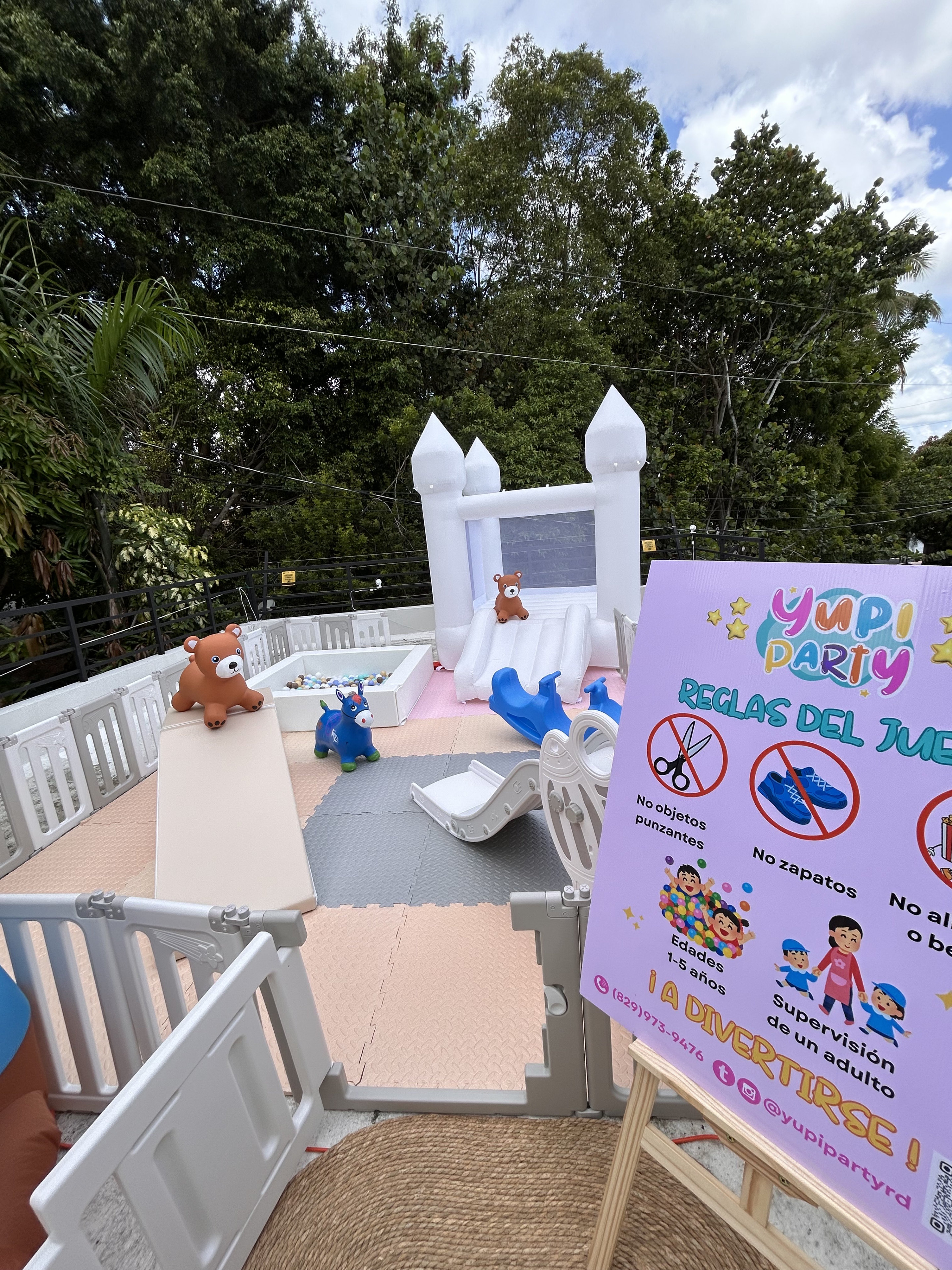 servicios profesionales - inflable, juegos y diversión para cumpleaños  5