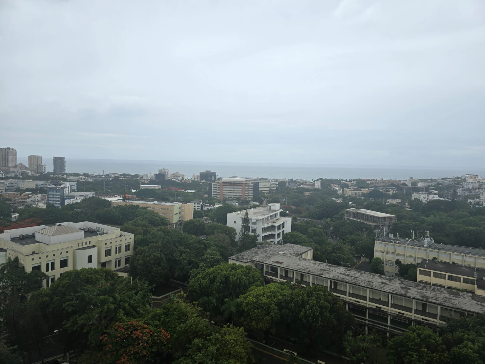 oficinas y locales comerciales - LOCAL PARA OFICINA EN ALQUILER LA ESPERILLA 4