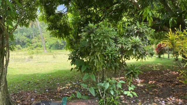 solares y terrenos - finca 24 tareas de tierra  7