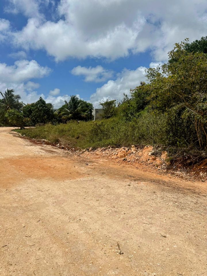 solares y terrenos - Solares en Venta en Las Galeras, Samaná para Const 1