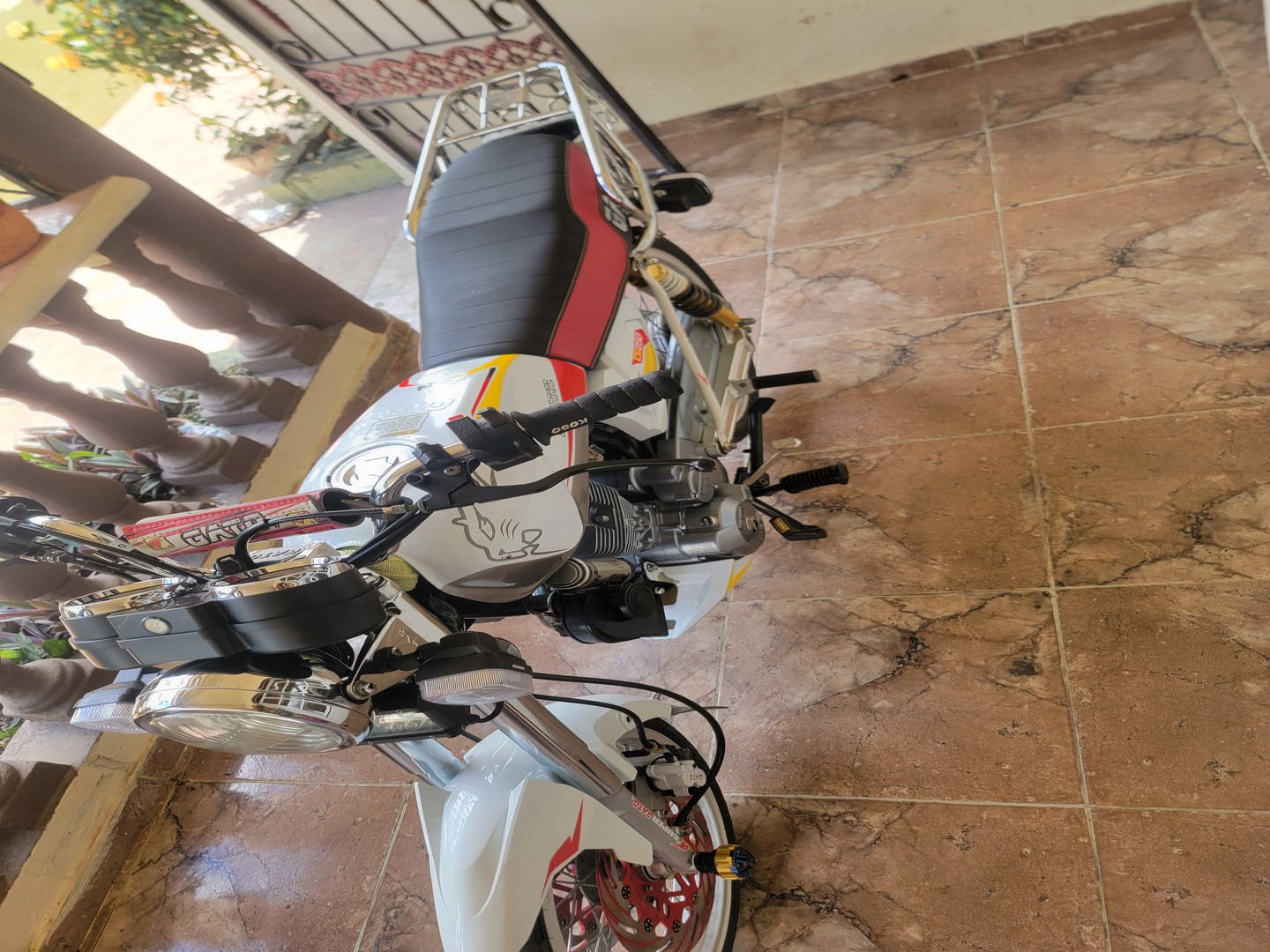 motores y pasolas - Gato 250 2