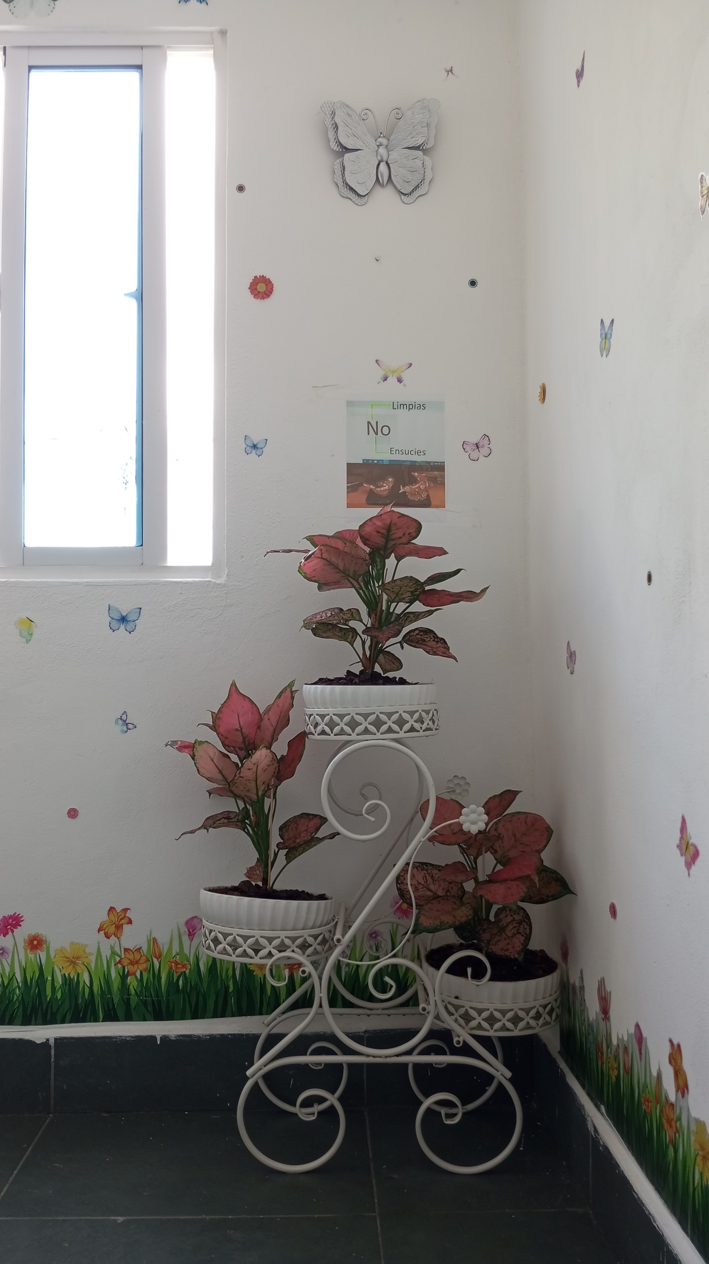 apartamentos - Al día  1