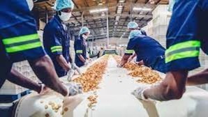 empleos disponibles - SE SOLICITA OPERADOR DE PRODUCCION
 0