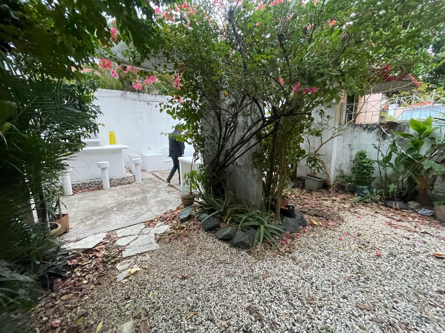 casas - Vendo Casa y/o Propiedad de Oportunidad En Gazcue para Negocio o Vivienda. PD174 6