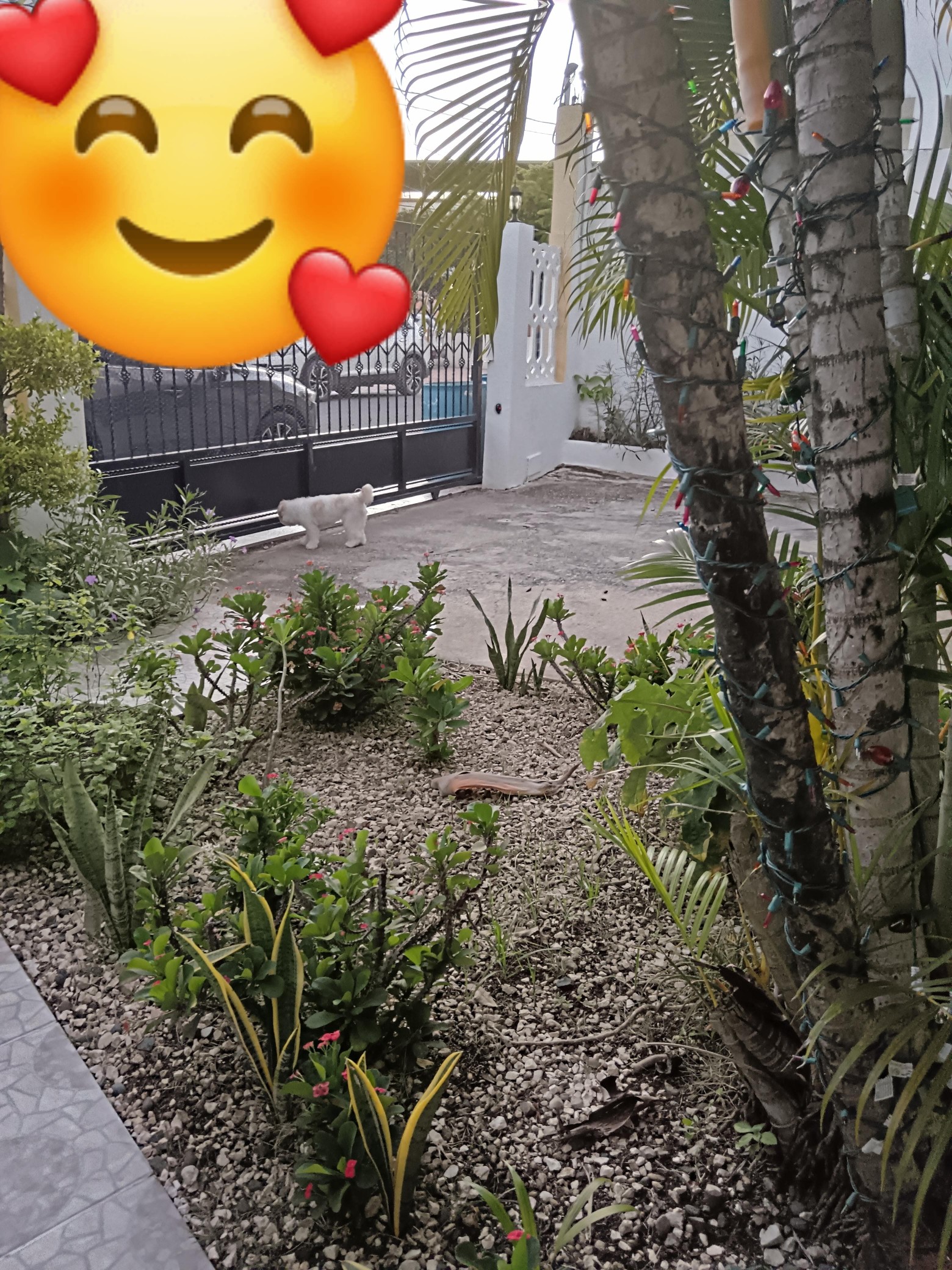 casas - Se vende casa en Costa Verde.🚨Bajo de precio  2