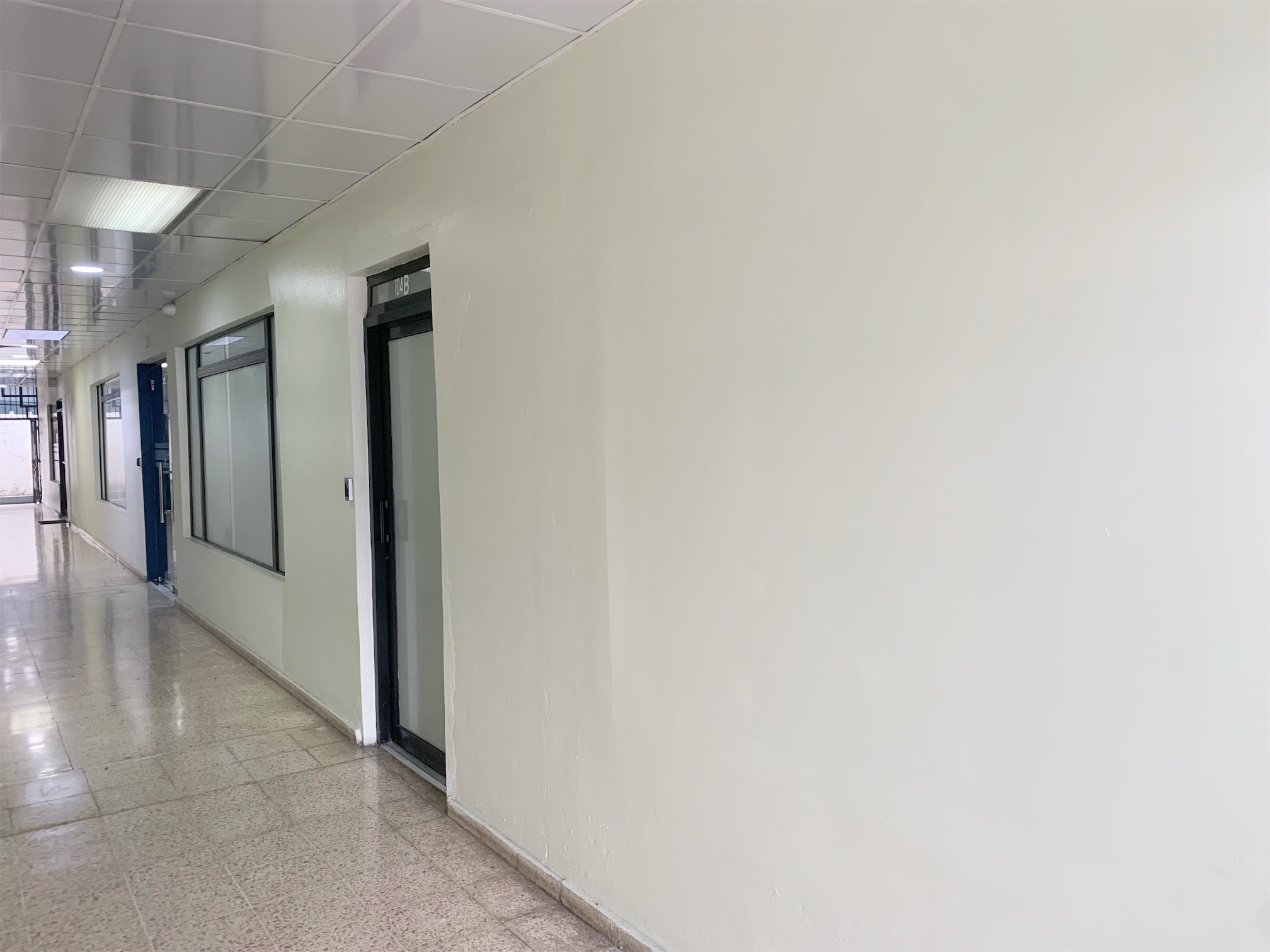 oficinas y locales comerciales - Local primer nivel  2
