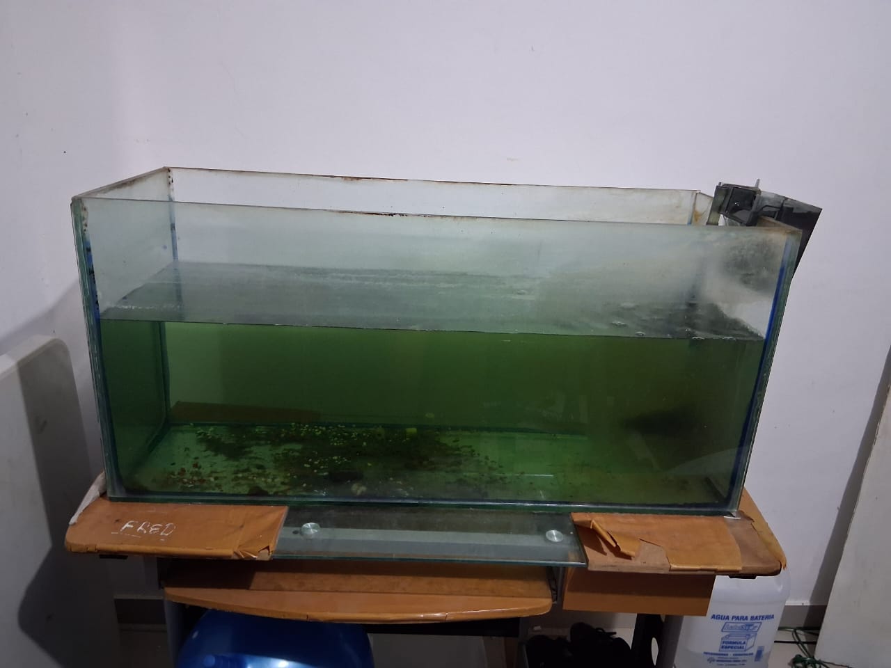 animales y mascotas - VENTA DE PECERA EN MUY BUENAS CONDICIONES 0