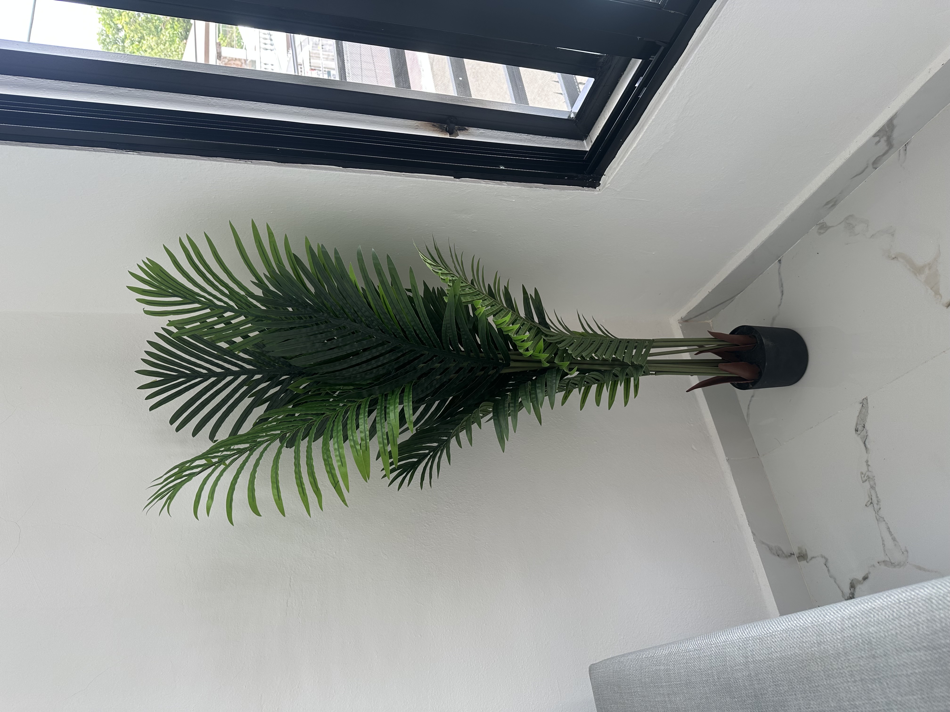 decoración y accesorios - Planta de palma artificial  0