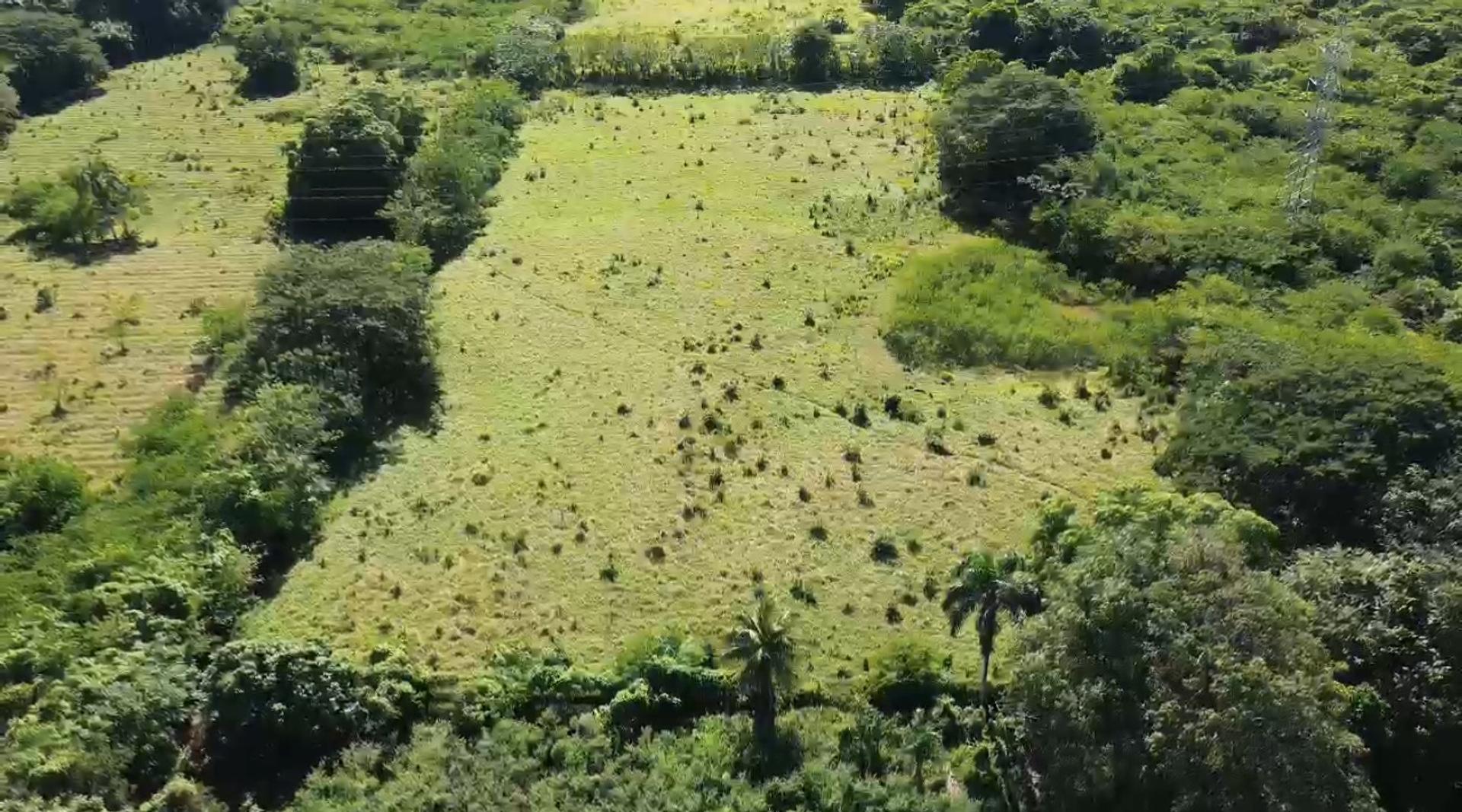 solares y terrenos - 19,200mts² Terreno/Solar en El Toro de Guerra, Carretera Mella 2