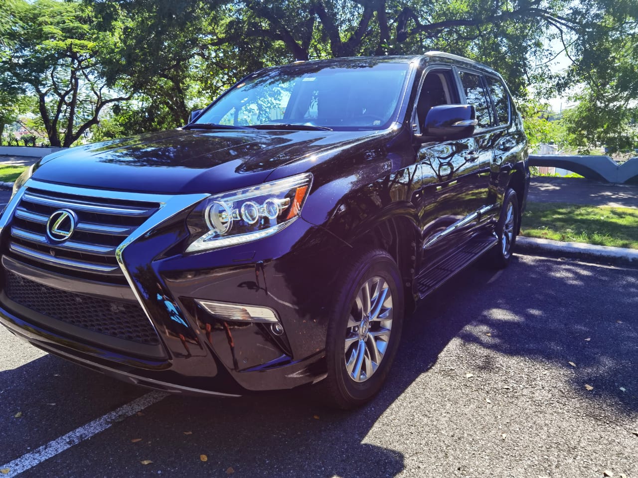 jeepetas y camionetas - Lexus GX 460 LUXURT en Venta 4