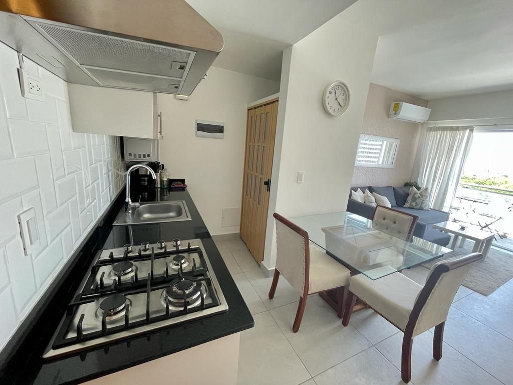 apartamentos - La Esperilla amueblado piso 14 1 habitacion 1.5 banos 1 parqueo 7