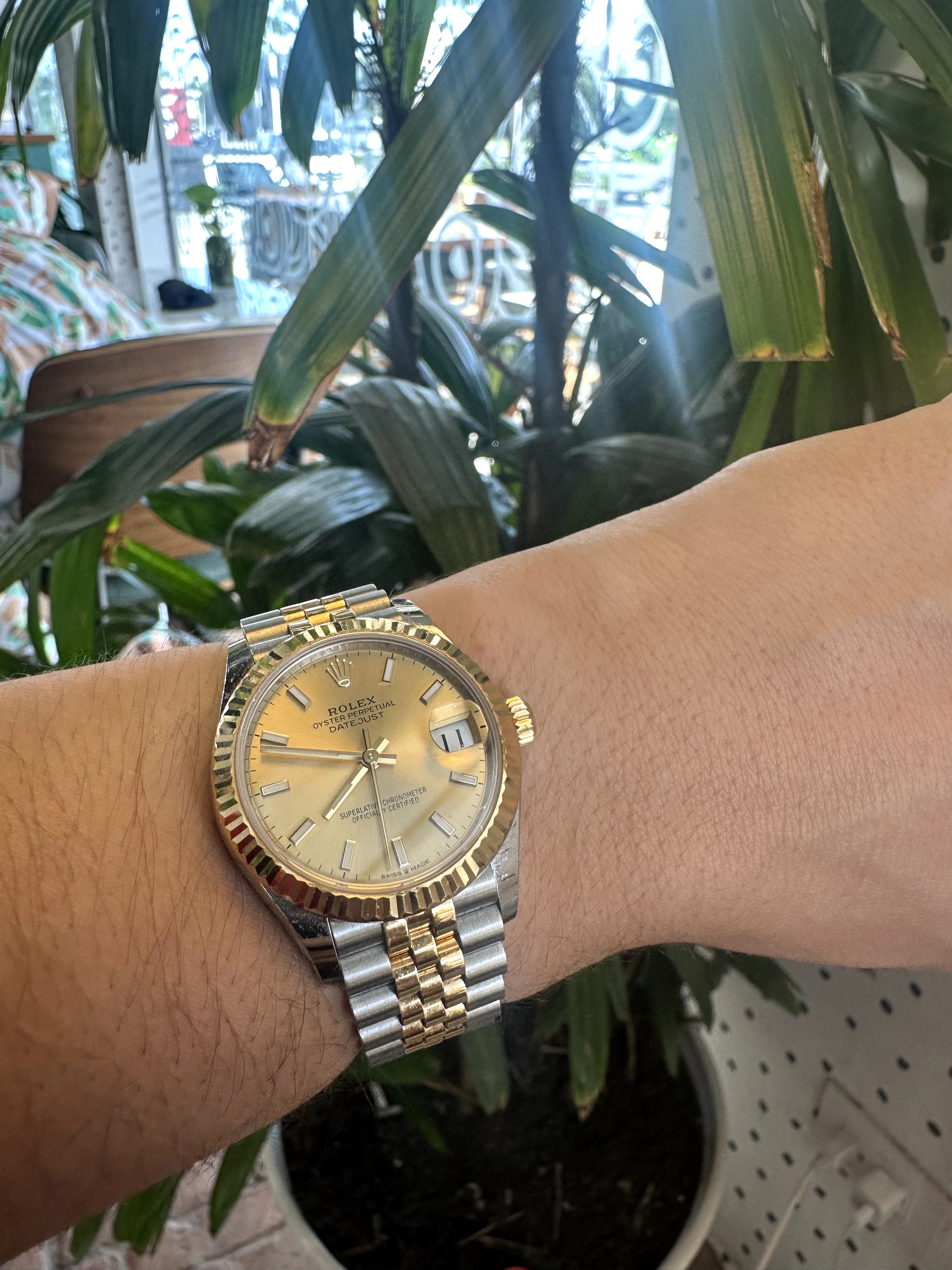 joyas, relojes y accesorios - Rolex Datejust 31mm  1